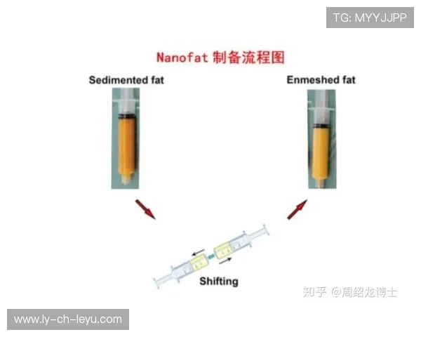 Nano材料：轻量化与强度兼具，nanolab高品质纳米材料供应商