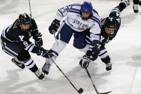 教练临场调整及时，战术响应迅速，作为教练员如何临场指导