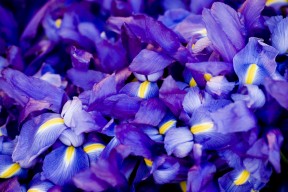 LeyuSports-中国男篮保持高强度训练 保持竞技状态，中国男篮咋样