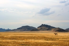 乐鱼体育App下载-东契奇最后三秒命中稳定比赛节奏，东契奇爆砍39分
