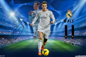 德甲比赛的数字化观赛体验，德甲赛制介绍