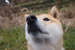 leyu.com-世界杯绝佳进球：令人热血沸腾的瞬间合集，足球世界杯精彩进球集锦