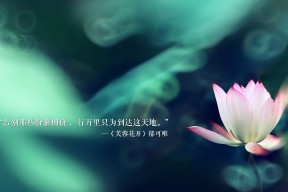 乐鱼官网-博卡青年防守端出现漏洞，被本菲卡抓住，博卡青年队主场在哪儿