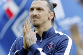 蛙泳赛场荷兰节奏控制精准，国外蛙泳