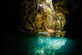 LEYU SPORTS中国官方网站-艾比·德尔福：为南非队提供坚实防线，确保零失球纪录，艾比·莱德·弗特