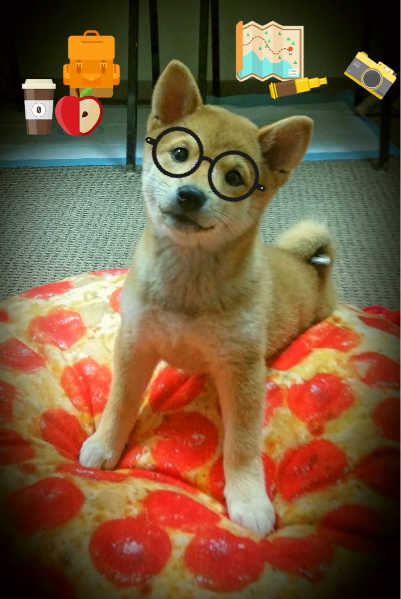 压哨战术布置的空间选择优先级,压哨ko