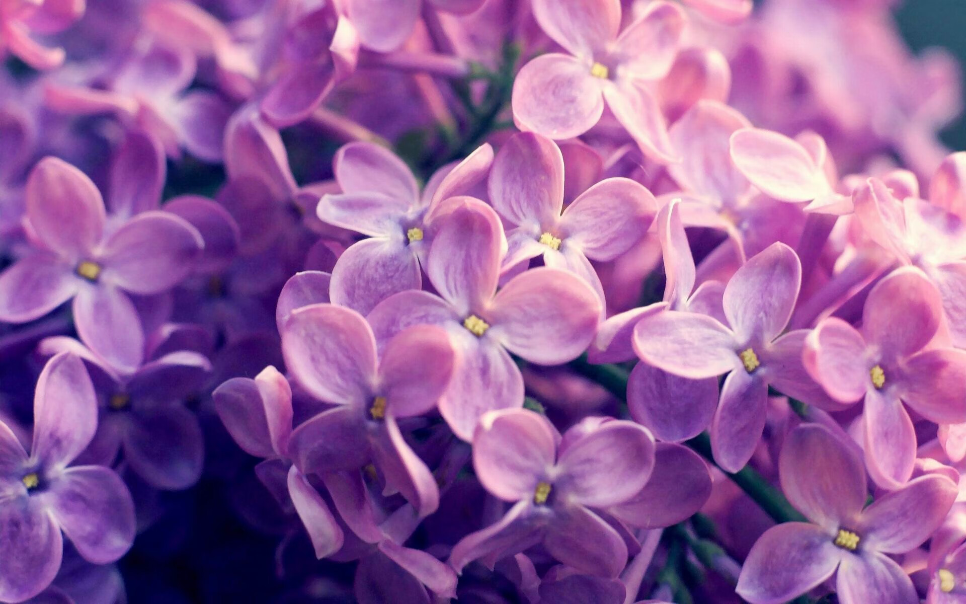 国家男篮引进新科技辅助训练提升效率,国家男篮训练基地