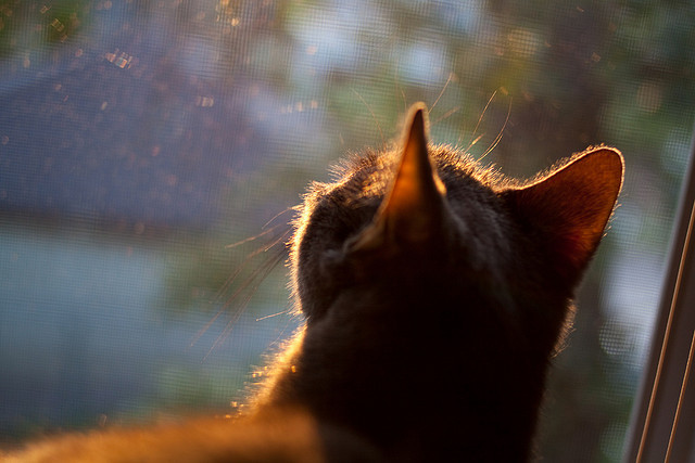 钱传华领衔国家队名单备战亚洲杯预选赛,钱传海简历