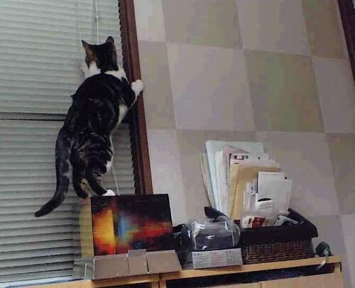 C罗赛前鼓舞全队展现老将风范,c罗踢比赛