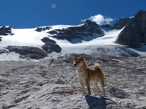 世界杯史诗战役:永远值得回忆的精彩瞬间!,世界杯的战绩