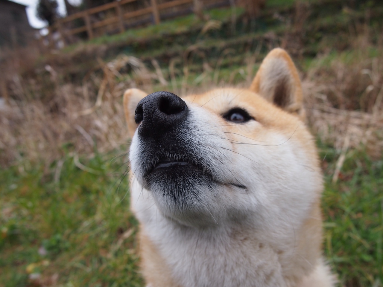 世界杯绝佳进球:令人热血沸腾的瞬间合集,足球世界杯精彩进球集锦