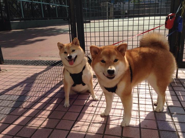 中国足球国家队体能训练方案科学合理,国足的体能