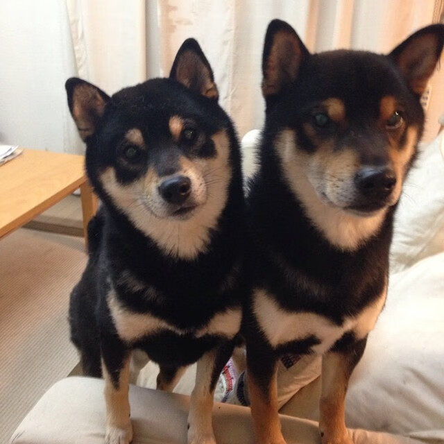 国际篮球邀请赛 世界强队同场竞技,国际篮球联赛时间